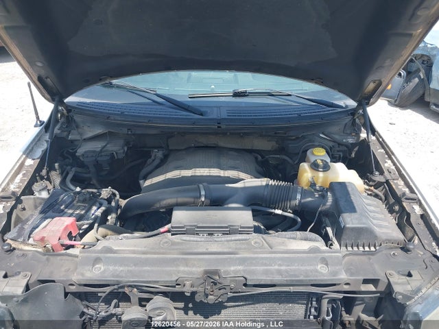 12620456 :رقم المزاد ، 1FTFW1ET4DFD71344 vin ، 2013 Ford F-150 Fx4 مزاد بيع