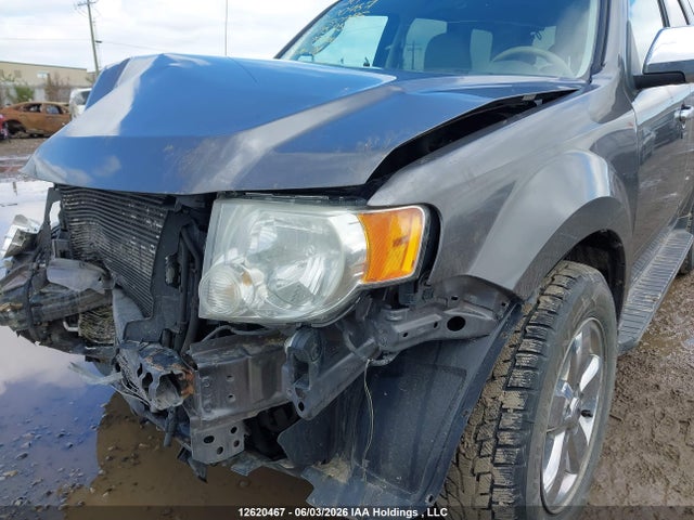 Aukcja sprzedaży 2009 Ford Escape Xlt, vin: 1FMCU93G19KA75351, numer aukcji: 12620467