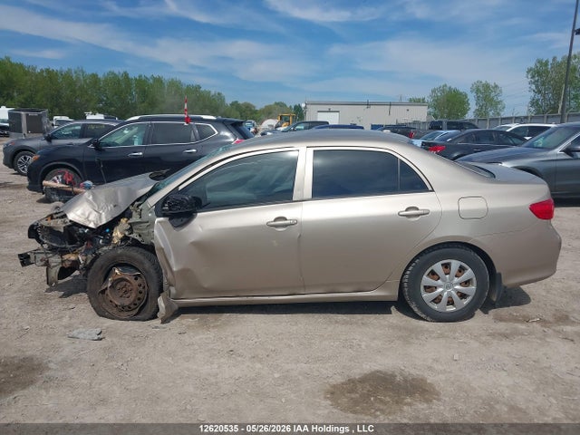 12620535 :رقم المزاد ، 2T1BU4EE4AC247876 vin ، 2010 Toyota Corolla Ce مزاد بيع