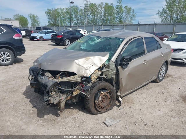 12620535 :رقم المزاد ، 2T1BU4EE4AC247876 vin ، 2010 Toyota Corolla Ce مزاد بيع
