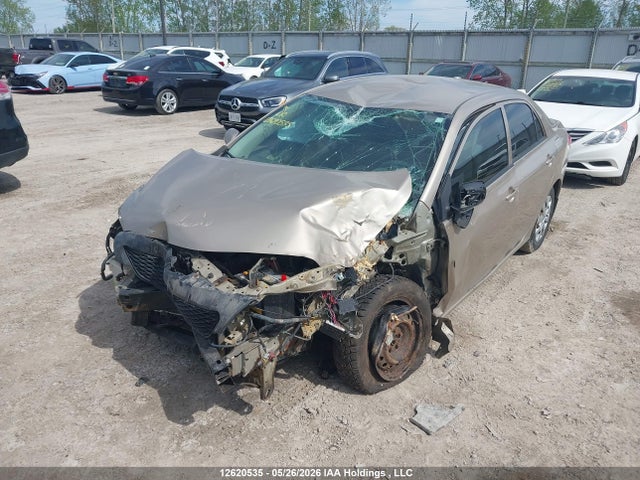12620535 :رقم المزاد ، 2T1BU4EE4AC247876 vin ، 2010 Toyota Corolla Ce مزاد بيع