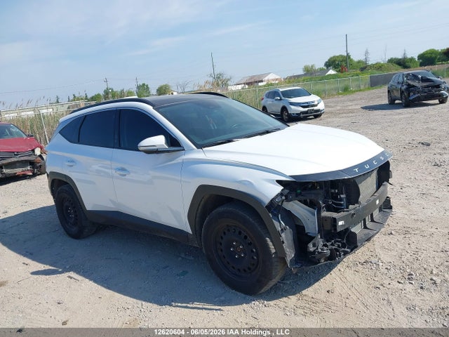 Auction sale of the 2024 Hyundai Tucson Trend Awd, vin: KM8JCCDE8RU302057, lot number: 12620604