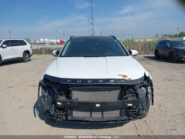 2024 Hyundai Tucson Trend Awd მანქანა იყიდება აუქციონზე, vin: KM8JCCDE8RU302057, აუქციონის ნომერი: 12620604