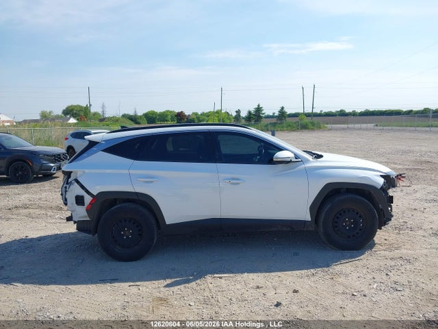 2024 Hyundai Tucson Trend Awd მანქანა იყიდება აუქციონზე, vin: KM8JCCDE8RU302057, აუქციონის ნომერი: 12620604