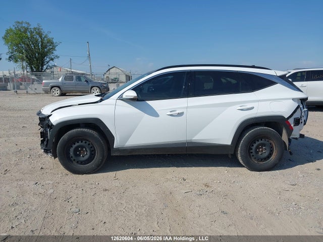 2024 Hyundai Tucson Trend Awd მანქანა იყიდება აუქციონზე, vin: KM8JCCDE8RU302057, აუქციონის ნომერი: 12620604