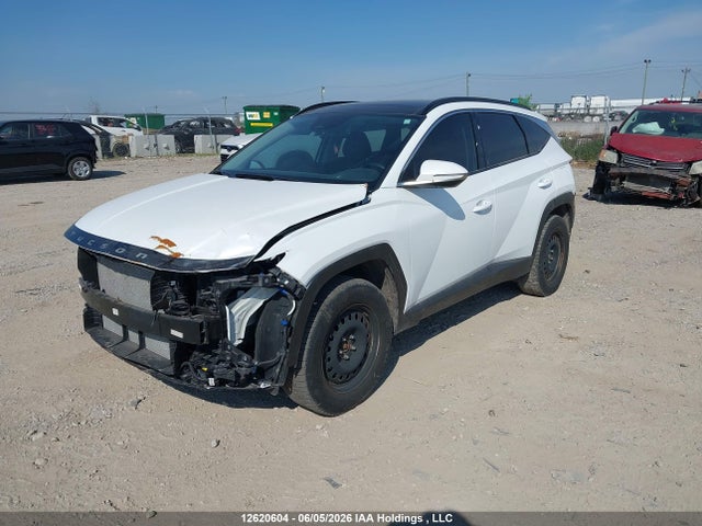 2024 Hyundai Tucson Trend Awd მანქანა იყიდება აუქციონზე, vin: KM8JCCDE8RU302057, აუქციონის ნომერი: 12620604