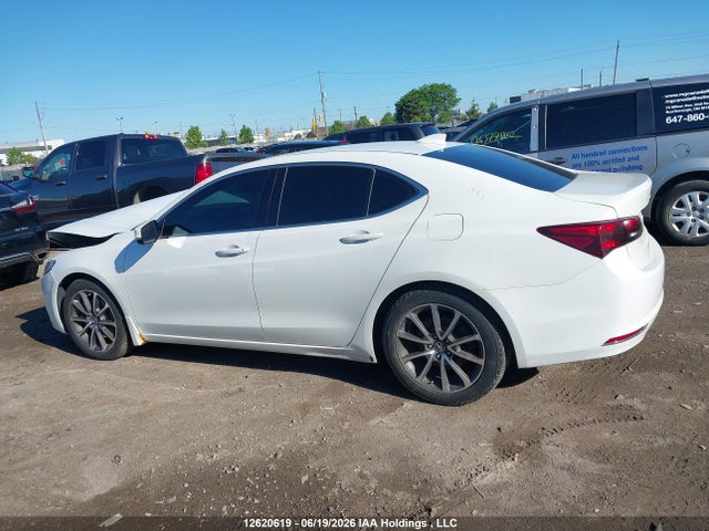 19UUB3F33FA801587 Acura TLX