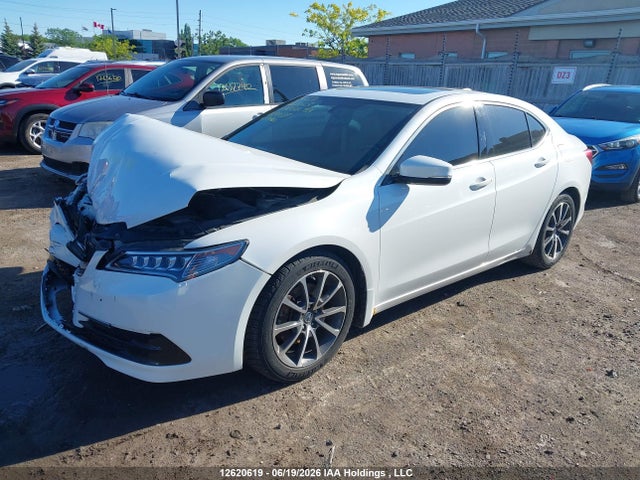 19UUB3F33FA801587 Acura TLX