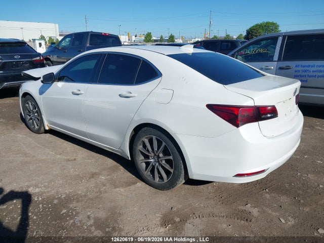 19UUB3F33FA801587 Acura TLX