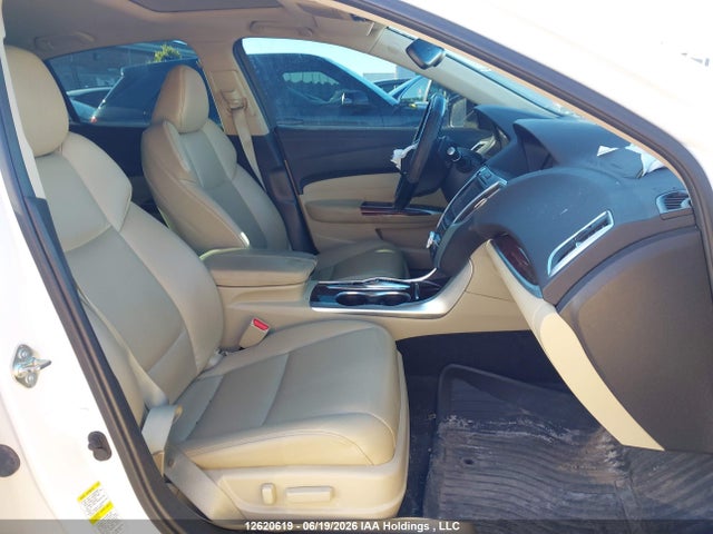19UUB3F33FA801587 Acura TLX
