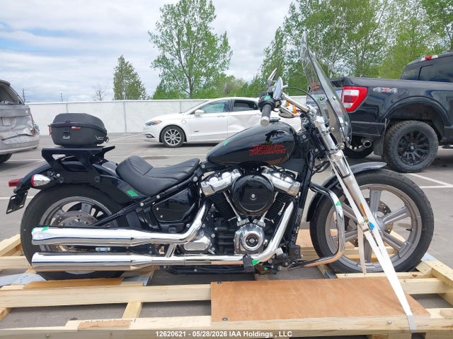 2023 Harley-davidson Fxst მანქანა იყიდება აუქციონზე, vin: 5HD1BVJ3XPB020816, აუქციონის ნომერი: 12620621
