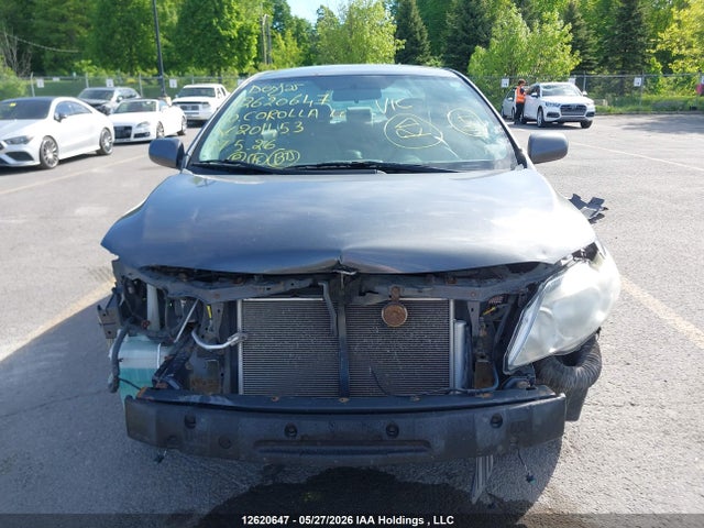 2010 Toyota Corolla Le მანქანა იყიდება აუქციონზე, vin: 2T1BU4EEXAC201453, აუქციონის ნომერი: 12620647