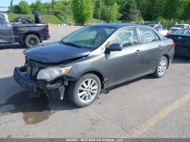 2010 Toyota Corolla Le მანქანა იყიდება აუქციონზე, vin: 2T1BU4EEXAC201453, აუქციონის ნომერი: 12620647
