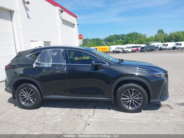 Lexus Nx 350h 350h 2025 2T2GKCEZ6SC048608 Image 13