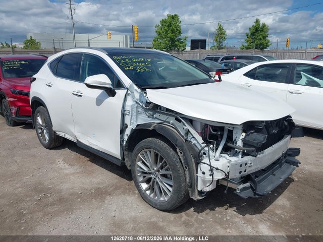 Aukcja sprzedaży 2025 Lexus Nx 350h 350h, vin: 2T2GKCEZ7SC032465, numer aukcji: 12620718