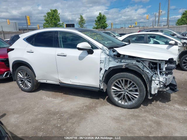 12620718 :رقم المزاد ، 2T2GKCEZ7SC032465 vin ، 2025 Lexus Nx 350h 350h مزاد بيع