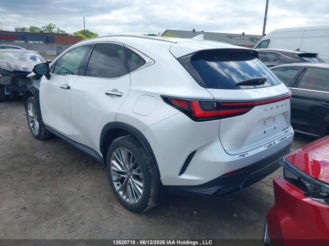 12620718 :رقم المزاد ، 2T2GKCEZ7SC032465 vin ، 2025 Lexus Nx 350h 350h مزاد بيع