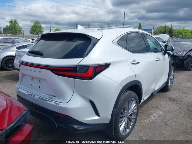 12620718 :رقم المزاد ، 2T2GKCEZ7SC032465 vin ، 2025 Lexus Nx 350h 350h مزاد بيع