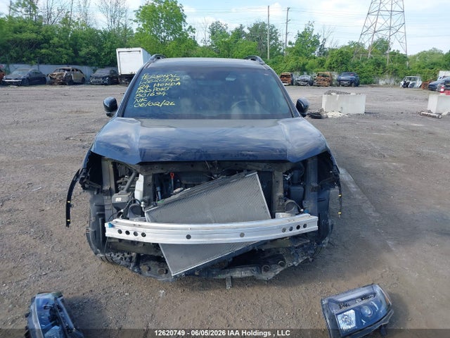 Продажа на аукционе авто 2024 Honda Passport Black Edition, vin: 5FNYF8H88RB501694, номер лота: 12620749