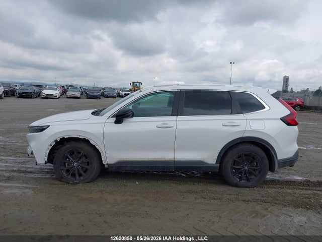 Aukcja sprzedaży 2024 Honda Cr-v Exl, vin: 2HKRS6H72RH204448, numer aukcji: 12620850