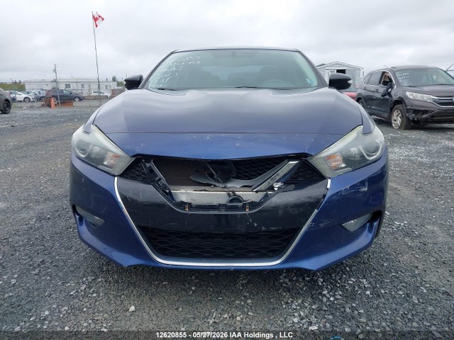 1N4AA6AP0GC446163 Nissan Maxima Platinum/sl/sr/sv