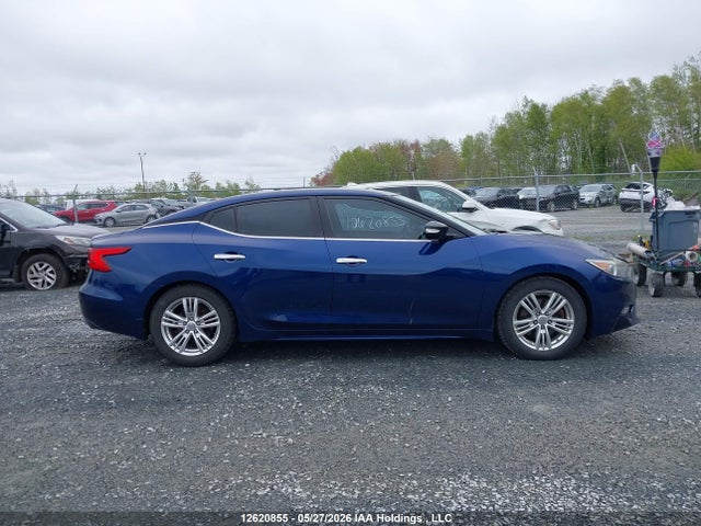 1N4AA6AP0GC446163 Nissan Maxima Platinum/sl/sr/sv