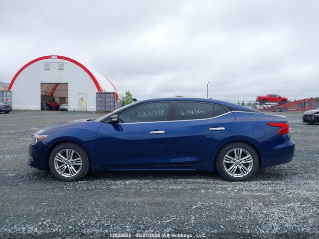 1N4AA6AP0GC446163 Nissan Maxima Platinum/sl/sr/sv