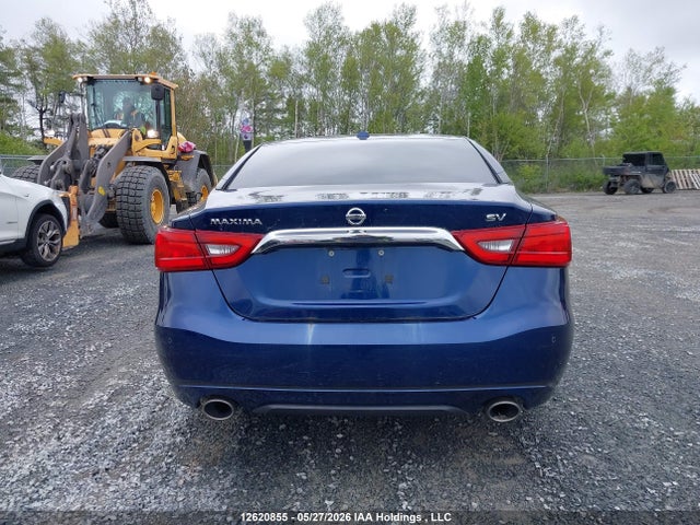 1N4AA6AP0GC446163 Nissan Maxima Platinum/sl/sr/sv
