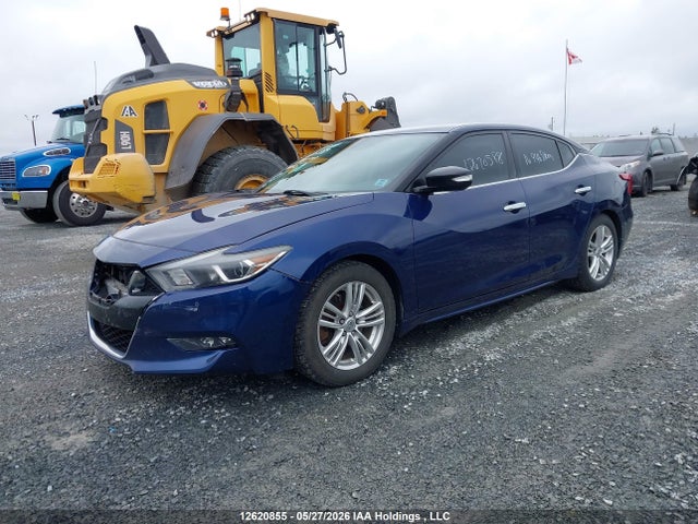 1N4AA6AP0GC446163 Nissan Maxima Platinum/sl/sr/sv