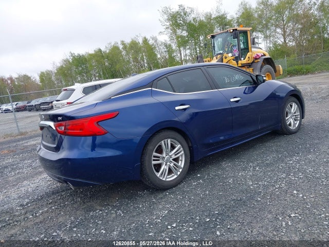 1N4AA6AP0GC446163 Nissan Maxima Platinum/sl/sr/sv