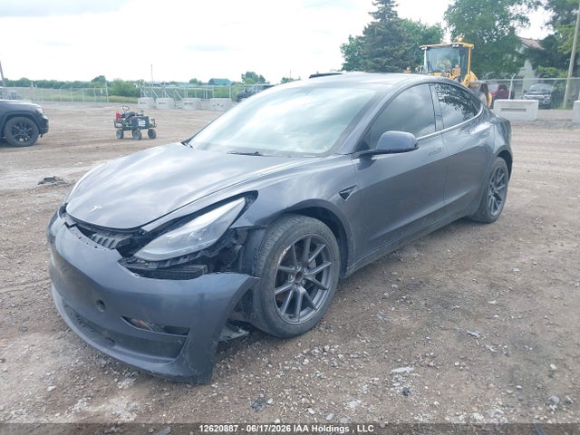 Tesla MODEL 3 2023 LRW3E1FA7PC933727 Image 2