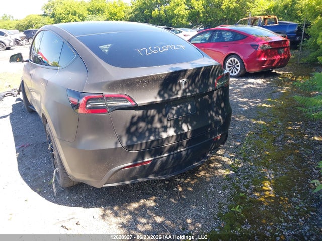 Продажа на аукционе авто 2021 Tesla Model Y, vin: 5YJYGDEEXMF183781, номер лота: 12620927
