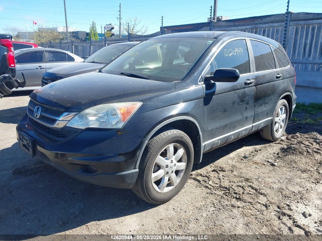 Aukcja sprzedaży 2010 Honda Cr-v Lx, vin: 5J6RE3H33AL803369, numer aukcji: 12620944