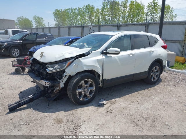12620993 :رقم المزاد ، 2HKRW2H51JH148454 vin ، 2018 Honda Cr-v Ex مزاد بيع