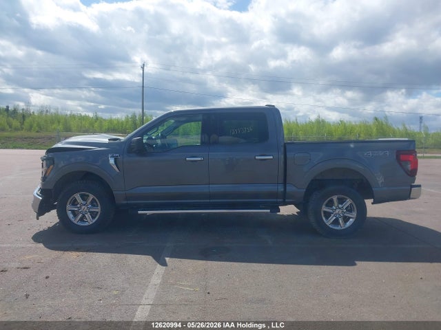 Продажа на аукционе авто 2024 Ford F-150 Xlt, vin: 1FTFW3L55RKE29329, номер лота: 12620994
