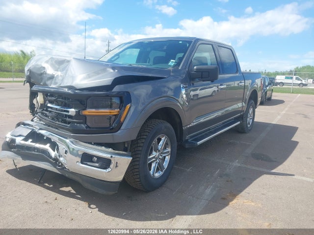 Продажа на аукционе авто 2024 Ford F-150 Xlt, vin: 1FTFW3L55RKE29329, номер лота: 12620994