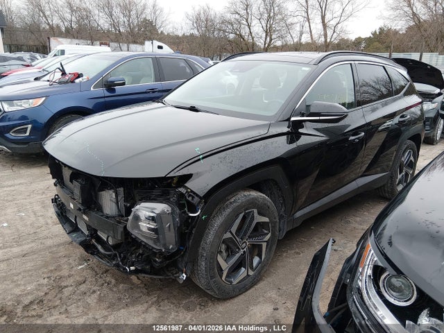 2024 Hyundai Tucson Ultimate Plug-in Hybrid Awd მანქანა იყიდება აუქციონზე, vin: KM8JDDD21RU162992, აუქციონის ნომერი: 12561987