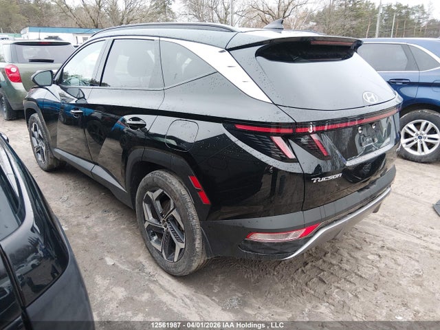 2024 Hyundai Tucson Ultimate Plug-in Hybrid Awd მანქანა იყიდება აუქციონზე, vin: KM8JDDD21RU162992, აუქციონის ნომერი: 12561987