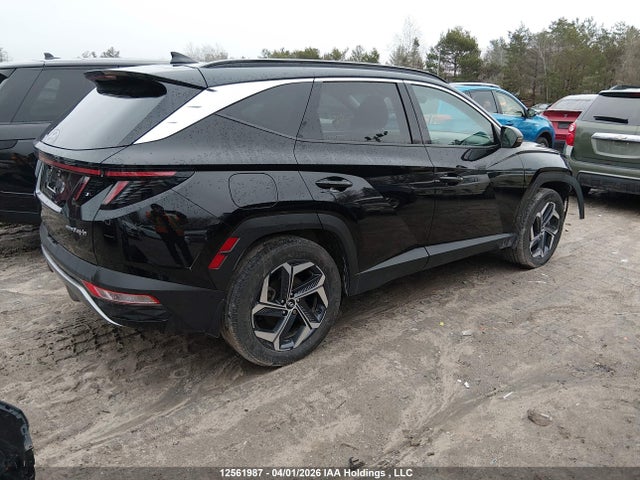 2024 Hyundai Tucson Ultimate Plug-in Hybrid Awd მანქანა იყიდება აუქციონზე, vin: KM8JDDD21RU162992, აუქციონის ნომერი: 12561987