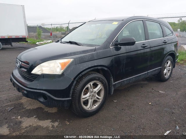 Auction sale of the 2007 Honda Cr-v Lx, vin: 5J6RE38307L800793, lot number: 12614101