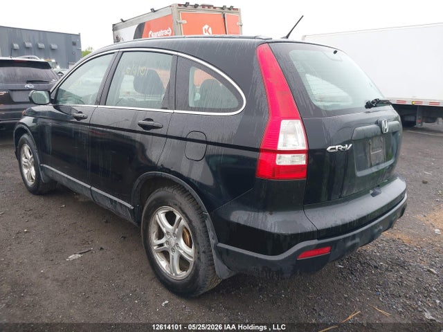 Auction sale of the 2007 Honda Cr-v Lx, vin: 5J6RE38307L800793, lot number: 12614101
