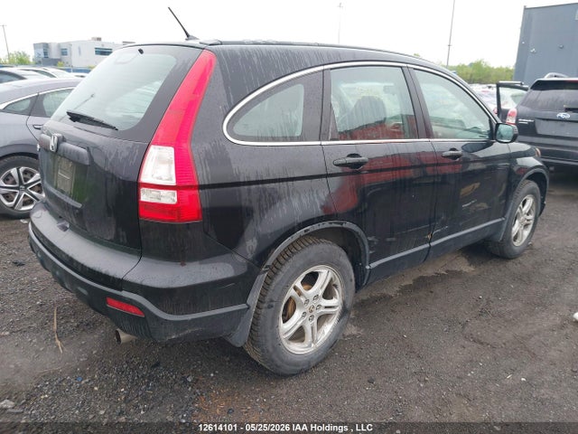 Auction sale of the 2007 Honda Cr-v Lx, vin: 5J6RE38307L800793, lot number: 12614101