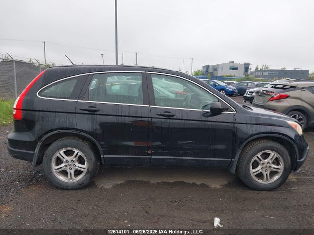 Auction sale of the 2007 Honda Cr-v Lx, vin: 5J6RE38307L800793, lot number: 12614101