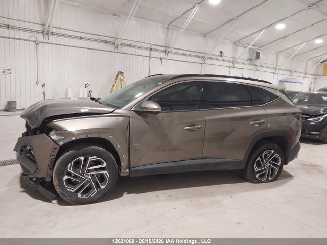 2025 Hyundai Tucson Sel Convenience მანქანა იყიდება აუქციონზე, vin: KM8JCDD1XSU316874, აუქციონის ნომერი: 12621060
