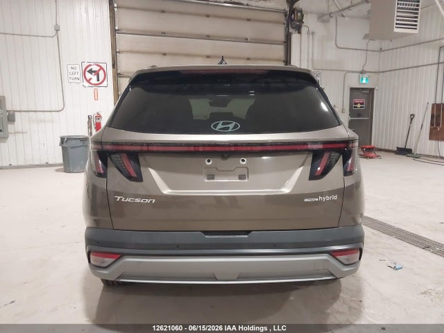 2025 Hyundai Tucson Sel Convenience მანქანა იყიდება აუქციონზე, vin: KM8JCDD1XSU316874, აუქციონის ნომერი: 12621060