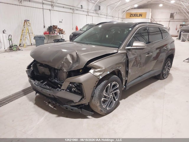 2025 Hyundai Tucson Sel Convenience მანქანა იყიდება აუქციონზე, vin: KM8JCDD1XSU316874, აუქციონის ნომერი: 12621060