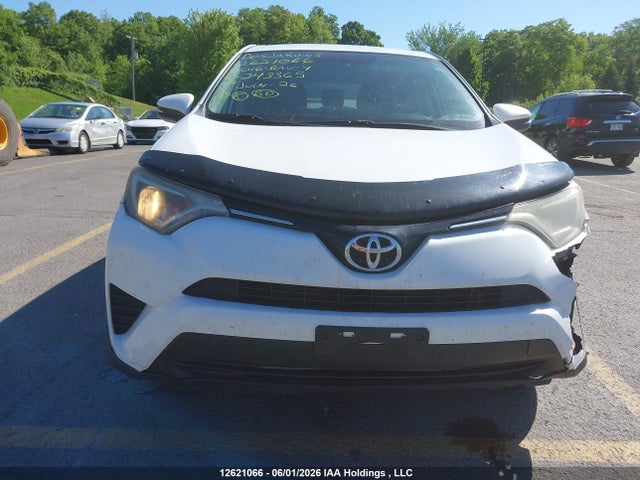 12621066 :رقم المزاد ، 2T3ZFREV8GW243365 vin ، 2016 Toyota Rav4 Le مزاد بيع