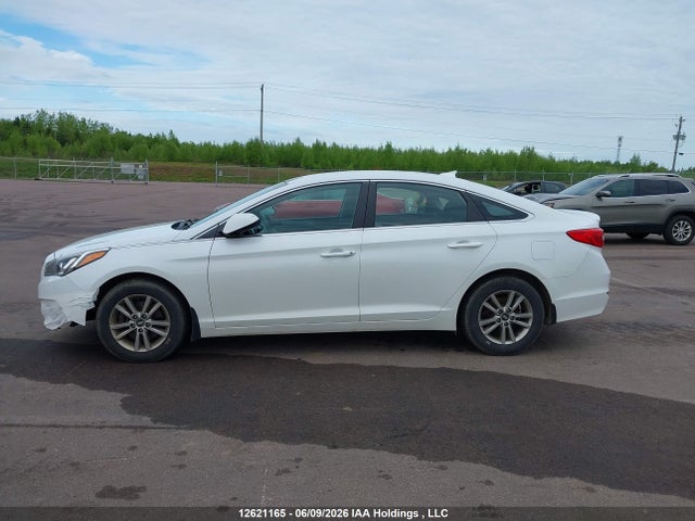 2016 Hyundai Sonata Se მანქანა იყიდება აუქციონზე, vin: 5NPE24AF1GH318460, აუქციონის ნომერი: 12621165