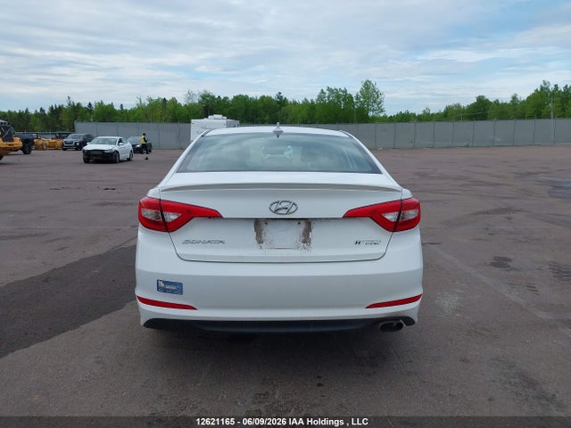 2016 Hyundai Sonata Se მანქანა იყიდება აუქციონზე, vin: 5NPE24AF1GH318460, აუქციონის ნომერი: 12621165