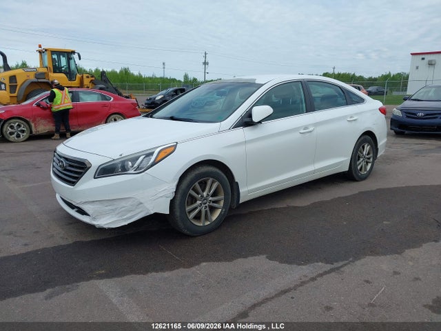 2016 Hyundai Sonata Se მანქანა იყიდება აუქციონზე, vin: 5NPE24AF1GH318460, აუქციონის ნომერი: 12621165